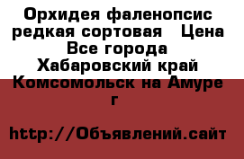 Орхидея фаленопсис редкая сортовая › Цена ­ 800 - Все города  »    . Хабаровский край,Комсомольск-на-Амуре г.